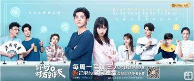 你好，对方辩友 国语版